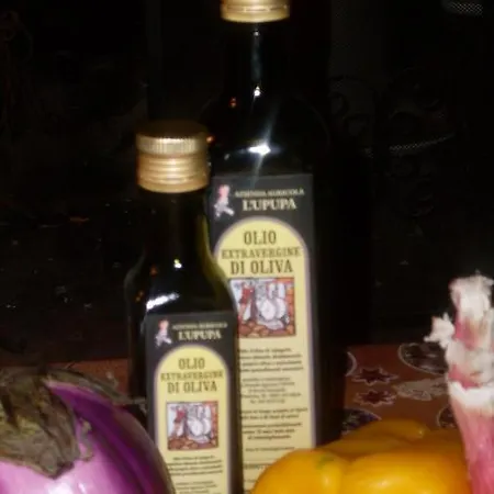 カントリーハウス Le Mimose ヴィンチ