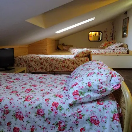 Le Mimose ヴィンチ