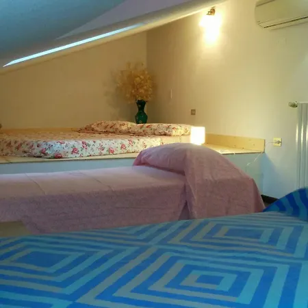 Le Mimose * ヴィンチ