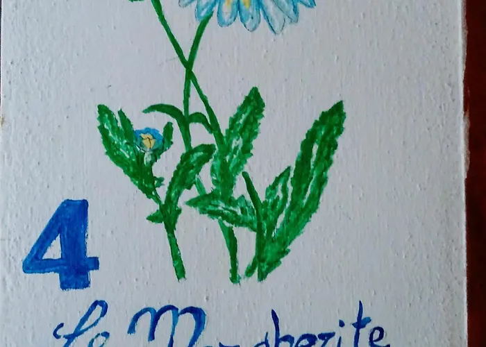 Casa de Campo Le Mimose Vinci