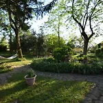 Le Mimose