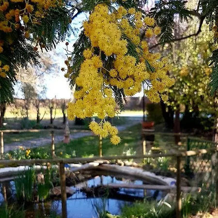 منزل ريفي Le Mimose *