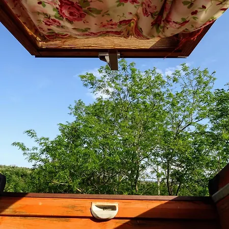 Country house Le Mimose Vinci