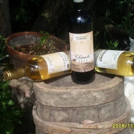Le Mimose Country house Vinci