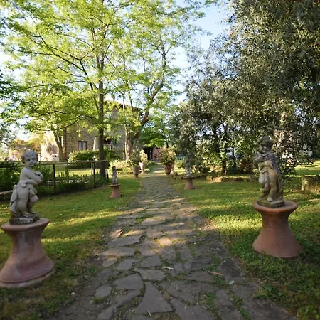 Le Mimose
