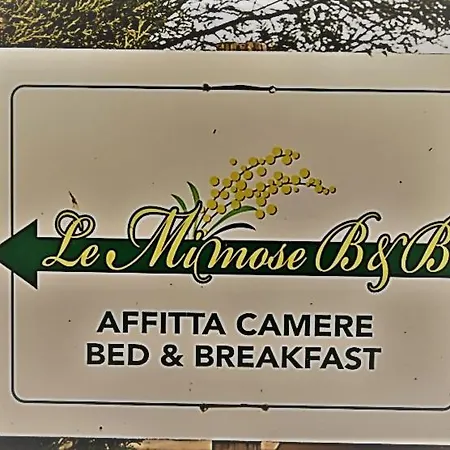 Le Mimose