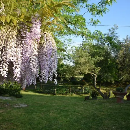 Le Mimose منزل ريفي