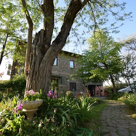 Le Mimose *