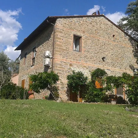 Le Mimose Vinci