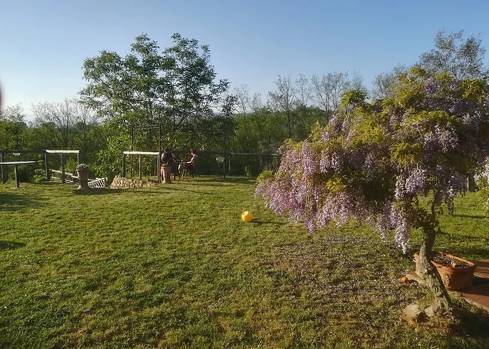 컨트리하우스 Le Mimose