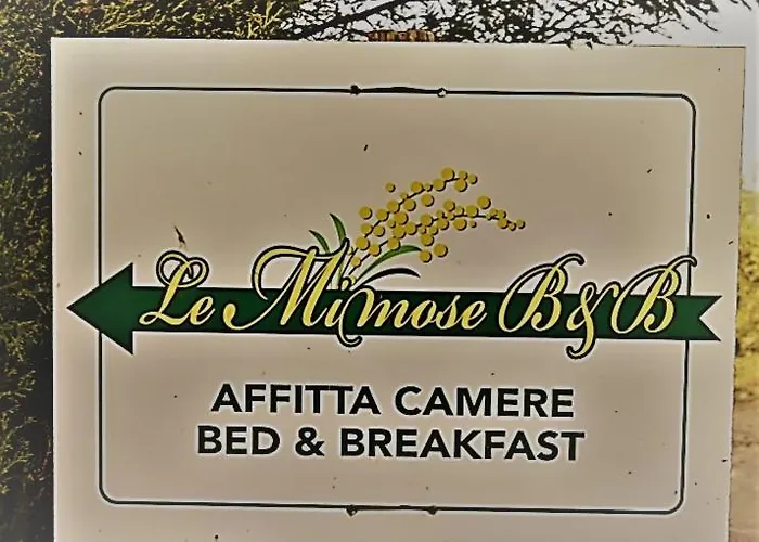 Le Mimose